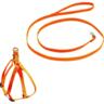 Комплект Lucky Pet поводок+шлея капроновый оранжевый 10мм/24-28см/38-46см
