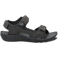 Сандали мужские Jack Wolfskin Lakewood Cruise Sandal M 4019011_6350 42 (8 UK) темно-серые