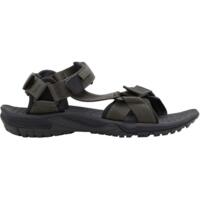 Сандали мужские Jack Wolfskin Lakewood Ride Sandal M 4019021_5719 42 (8 UK) коричневые