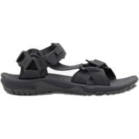 Сандали мужские Jack Wolfskin Lakewood Ride Sandal M 4019021_6350 40.5 (7 UK) темно-серые