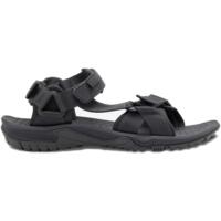 Сандали мужские Jack Wolfskin Lakewood Ride Sandal M 4019021_6350 45.5 (11 UK) темно-серые