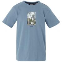 Футболка мужская Regatta ClineIX RMT296-M86 M голубая