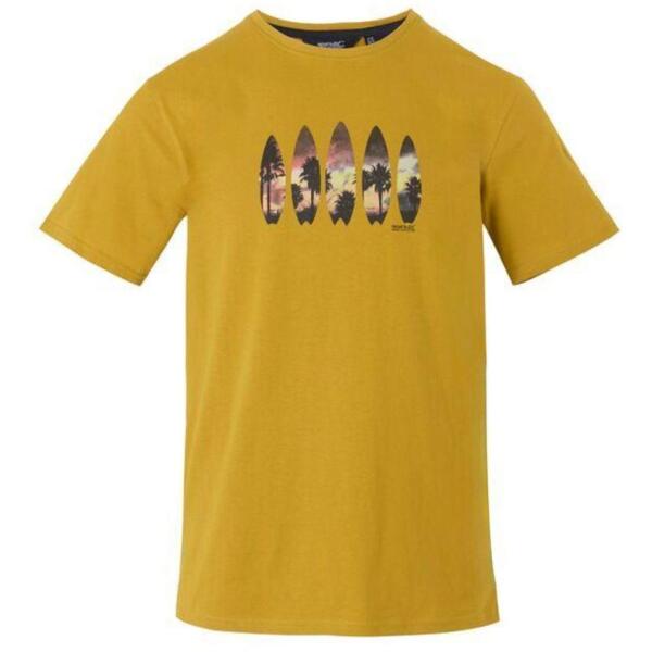 

Футболка мужская Regatta ClineIX RMT296-6CH S желтая