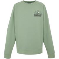 Свитшот мужской Regatta Nithsdale RMA565-H6L XL зеленый