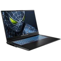 Ноутбук DREAM MACHINES RG5050-17 (RG5050-17UA24)