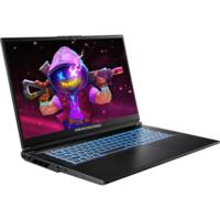 Ноутбук DREAM MACHINES RG5070-17 (RG5070-17UA25)