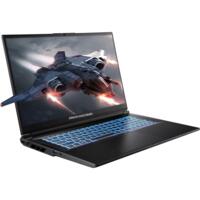 Ноутбук DREAM MACHINES RG5060-17 (RG5060-17UA24)