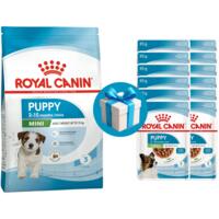Сухой корм для щенков Royal Canin Puppy Mini 8кг+12 шт Влажный корм Royal Canin X-Small Puppy 85г в Подарок