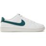 Кеди чоловічі Nike Court Royale 2 CQ9246-105 44 (10 US) білий