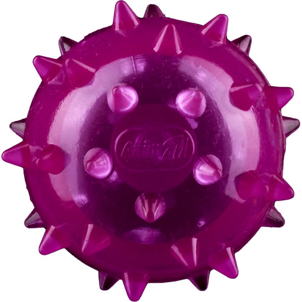 Іграшка AnimAll Fun М’яч шипований з пищалкою 45 мм фіолетовийфото1