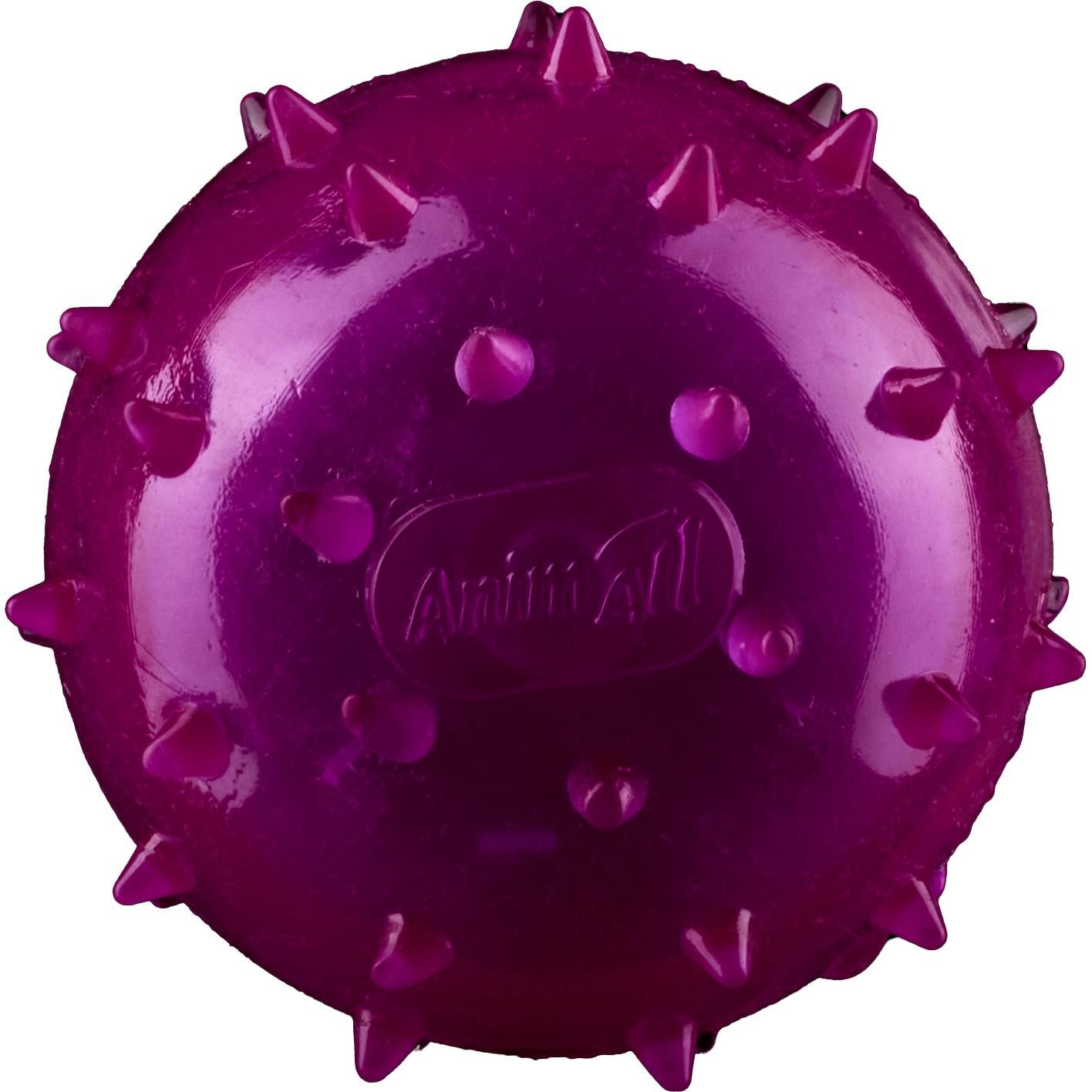 Іграшка AnimAll Fun М’яч шипований з пищалкою 65 мм фіолетовийфото1