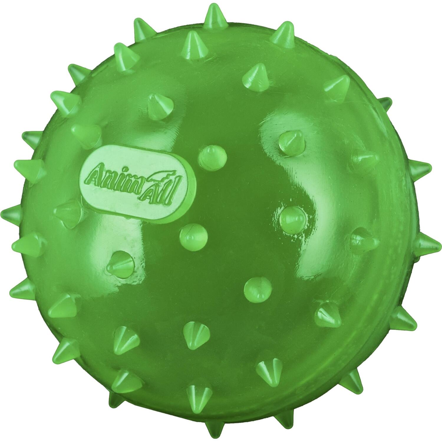 Іграшка AnimAll Fun М’яч шипований з пищалкою 75 мм зеленийфото