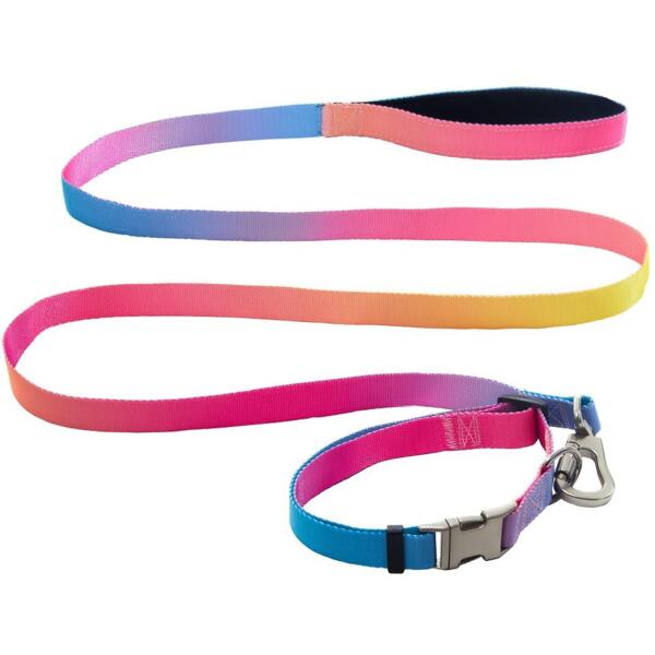 

Ошейник+поводок AnimAll panton 1 25/420-520/1800 мм