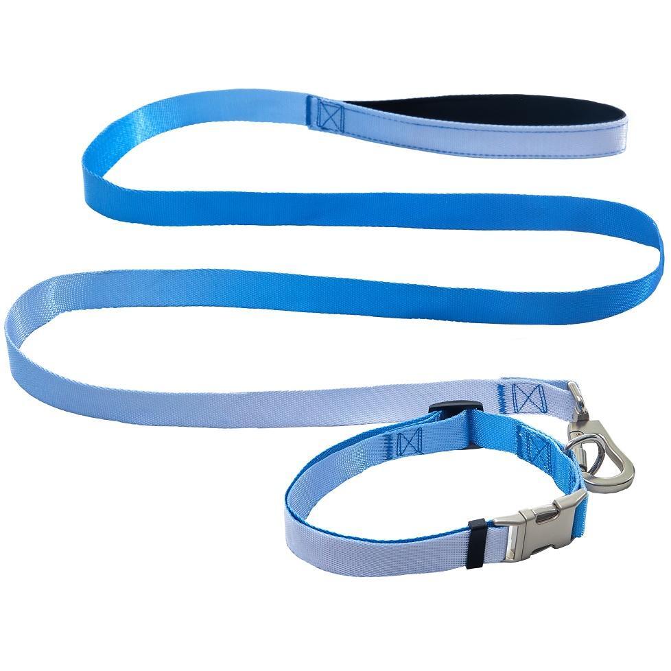 Ошейник+поводок AnimAll panton 3 25/420-520/1800 мм фото 1