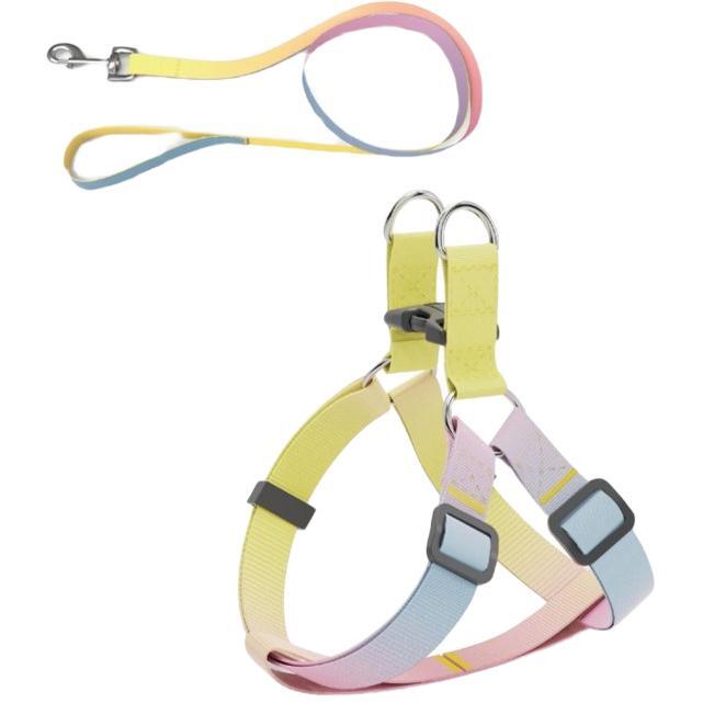 Шлея+повідець для собак AnimAll panton 2 10/250-300/1800 ммфото1