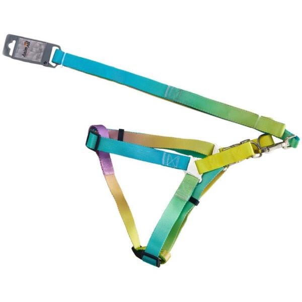 

Шлейка+поводок для собак AnimAll panton 2 25/420-520/1800 мм