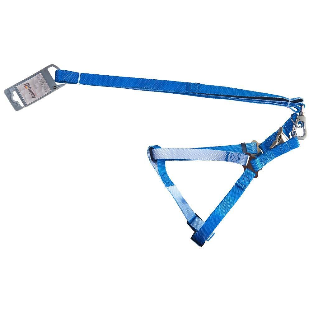 Шлея+повідець для собак AnimAll panton 3 20/330-500/1800 ммфото1