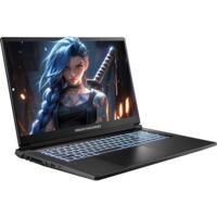 Ноутбук DREAM MACHINES RG5050-17 Black (RG5050-17UA27)