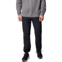 Брюки мужские Columbia Black Mesa Warm Pant 2095061CLB-010 40 32 черные