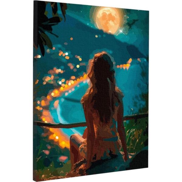 

Картина по номерам Santi Девушка и ночной город, 40*50см, LED подсветка (955088)