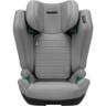 Автокресло Recaro Axion 1 Happy Grey (B1101002)