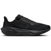 Кроссовки мужские Nike Pegasus 41 FD2722-001 43 (9.5 US) черные