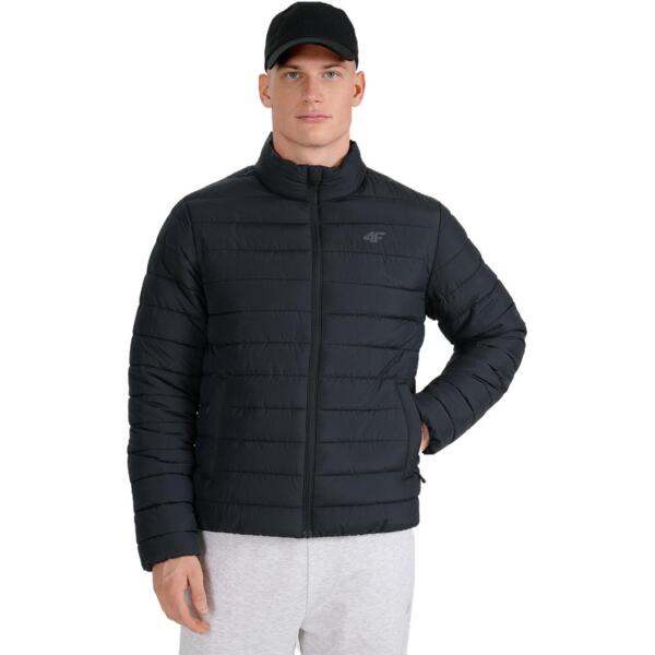 

Пуховик мужской 4F Down Jacket 4FWAW25TDJAM597-20S M черный