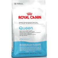 Сухой корм для котів під час вагітності Royal Canin Queen 4 кг