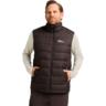 Жилет чоловічий Jack Wolfskin Ather Down Vest M Rds 1207691_D0108 XL коричневий