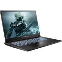 Ноутбук DREAM MACHINES RT5050-17XX02 (RT5050-17UA24)