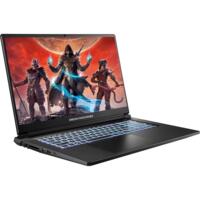 Ноутбук DREAM MACHINES RT5060-17XX02 (RT5060-17UA24)