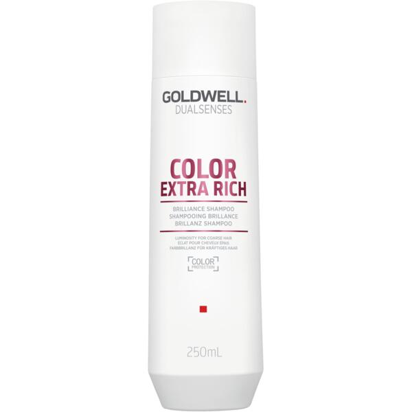 Шампунь для сохранения цвета пористых волос Goldwell Dualsenses DSN Color Extra Rich 250 мл