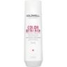 Шампунь для сохранения цвета пористых волос Goldwell Dualsenses DSN Color Extra Rich 250 мл