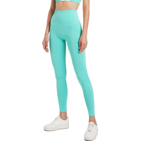

Легинсы из микрофибры Giulia 7131 Leggings Shape L/XL mint