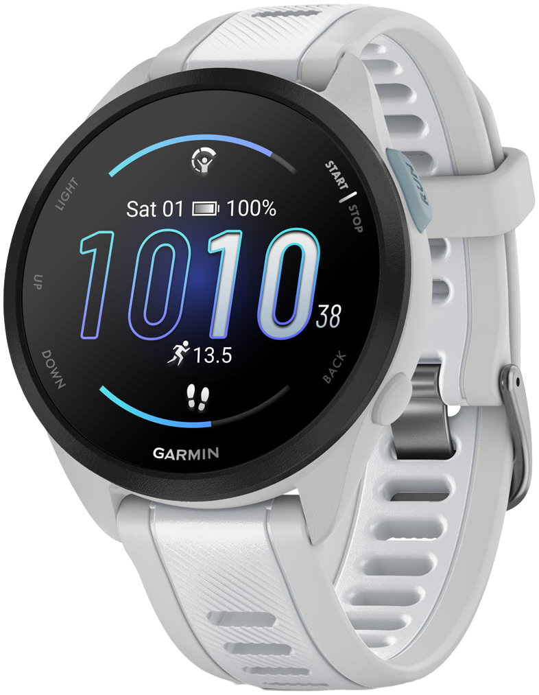 Смарт-годинник Garmin Forerunner 165 MusicMist Grey/Whitestone (010-02863-31)фото1