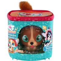 Игровой набор QT Puppies – Щенок Роки (451000-6)