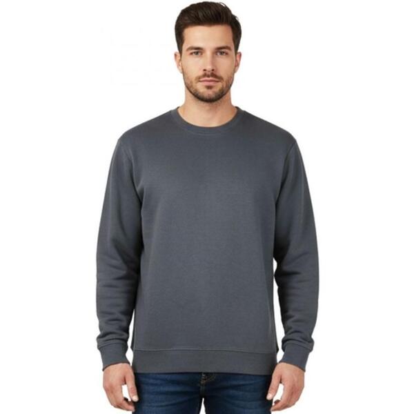 Свитшот NikiBo Classic 10080101-07 3XL серый фото 