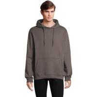 Худи мужское Sol’s Snake 047101384 L темно-серый