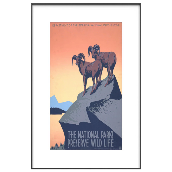 

Цифровой постер InkPoster Affresco 31.5", Wifi/BT, черный