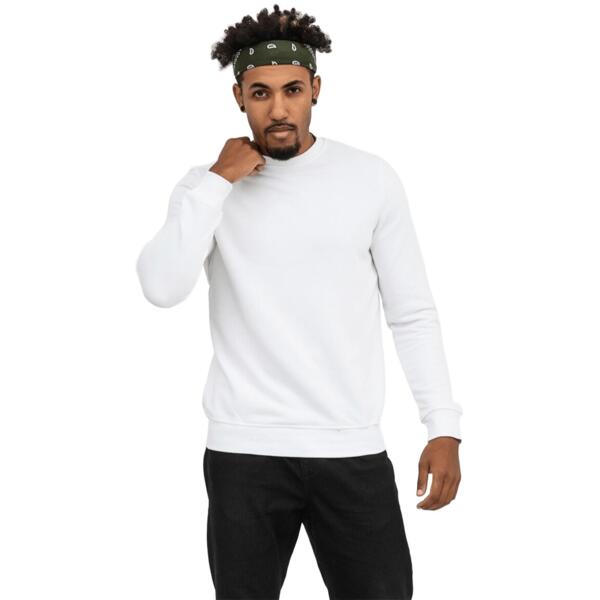 Свитшот мужской RAY Basic U0302M S белый фото