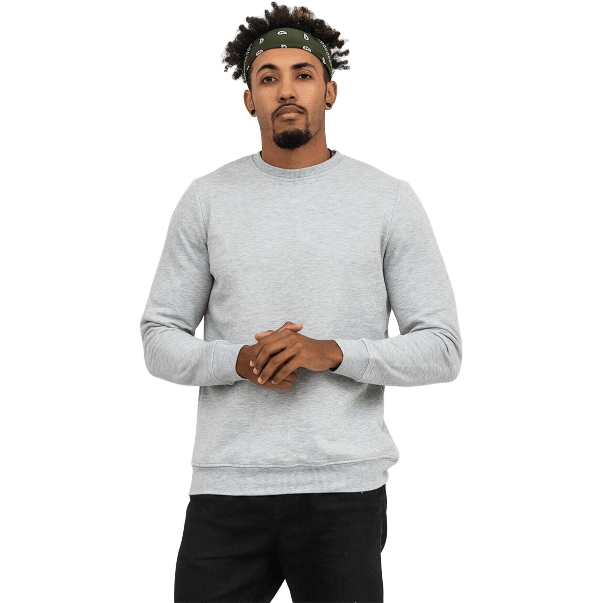 Свитшот утепленный мужской RAY Basic U0301M S серый меланж фото 1