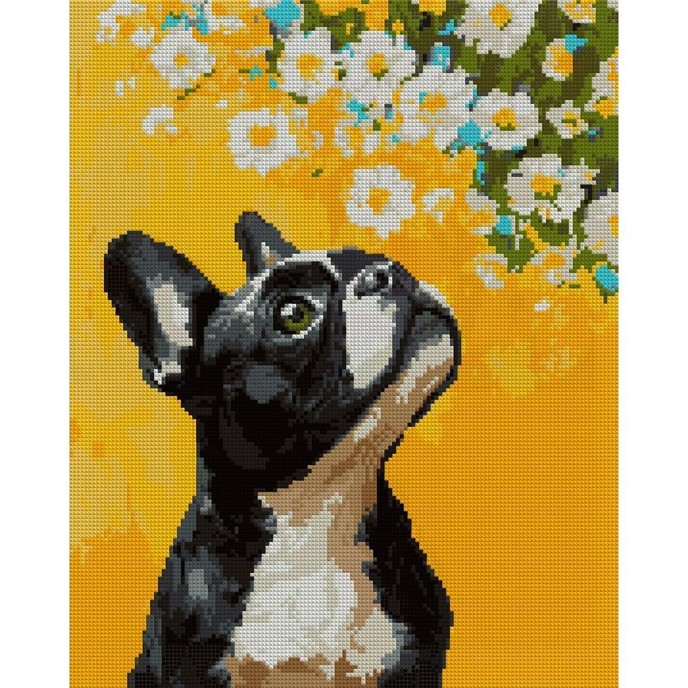 Алмазная мозаика Santi Бульдог и цветы 40*50 см на подрамнике (956048) фото 1