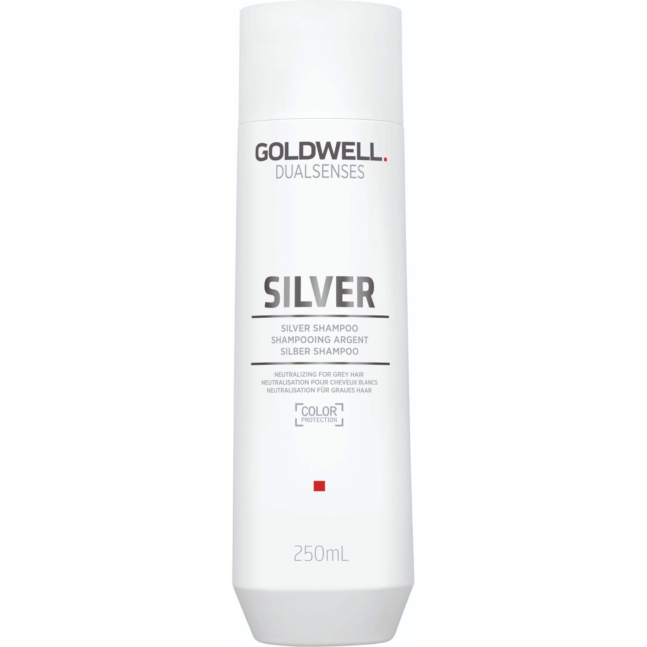 Шампунь Goldwell Dualsenses Silver для осветленных и седых волос 250 мл фото 1