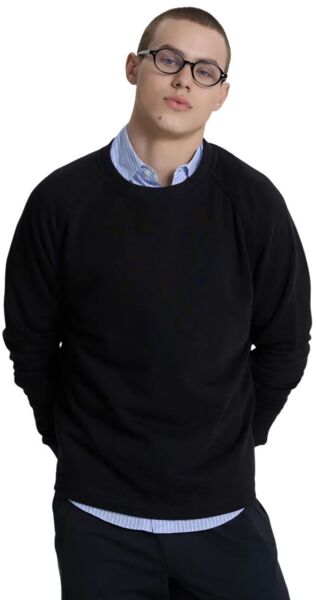 Світшот чоловічий Roza 240620 S чорнийфото