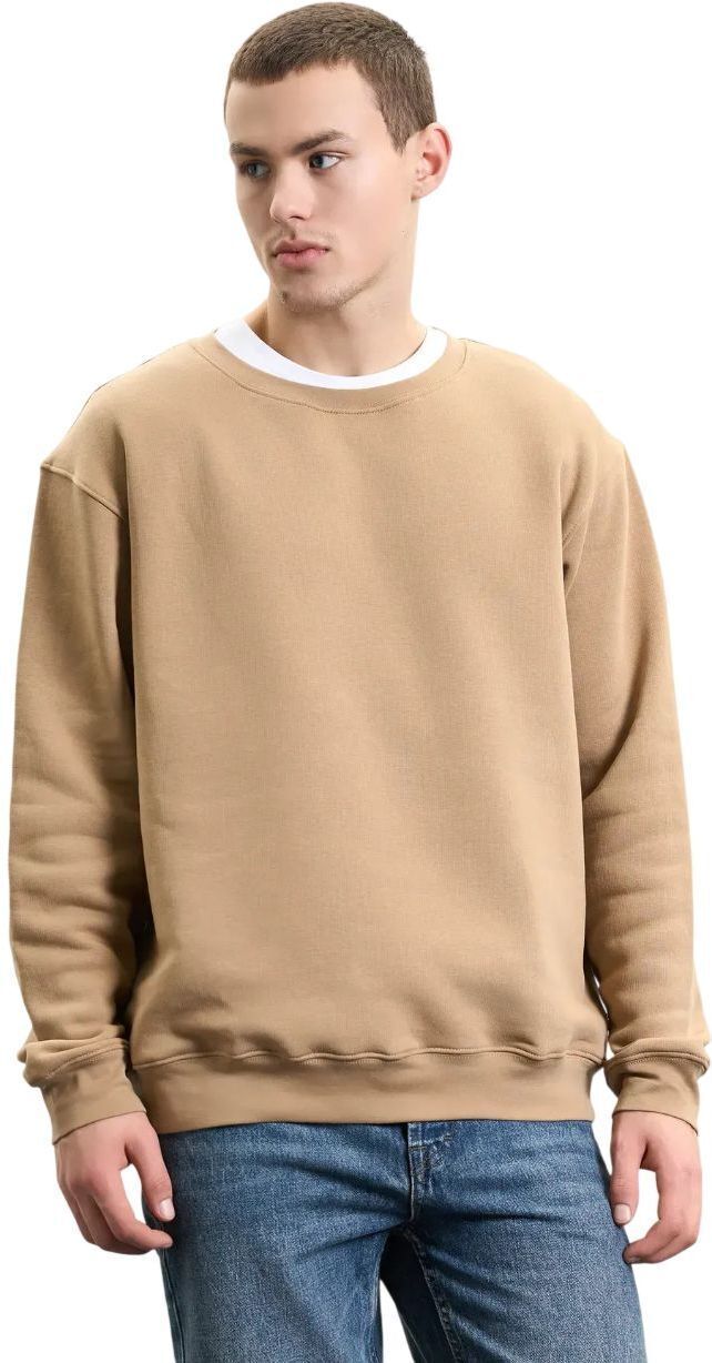 Світшот чоловічий Roza 240452 L темно-бежевийфото1