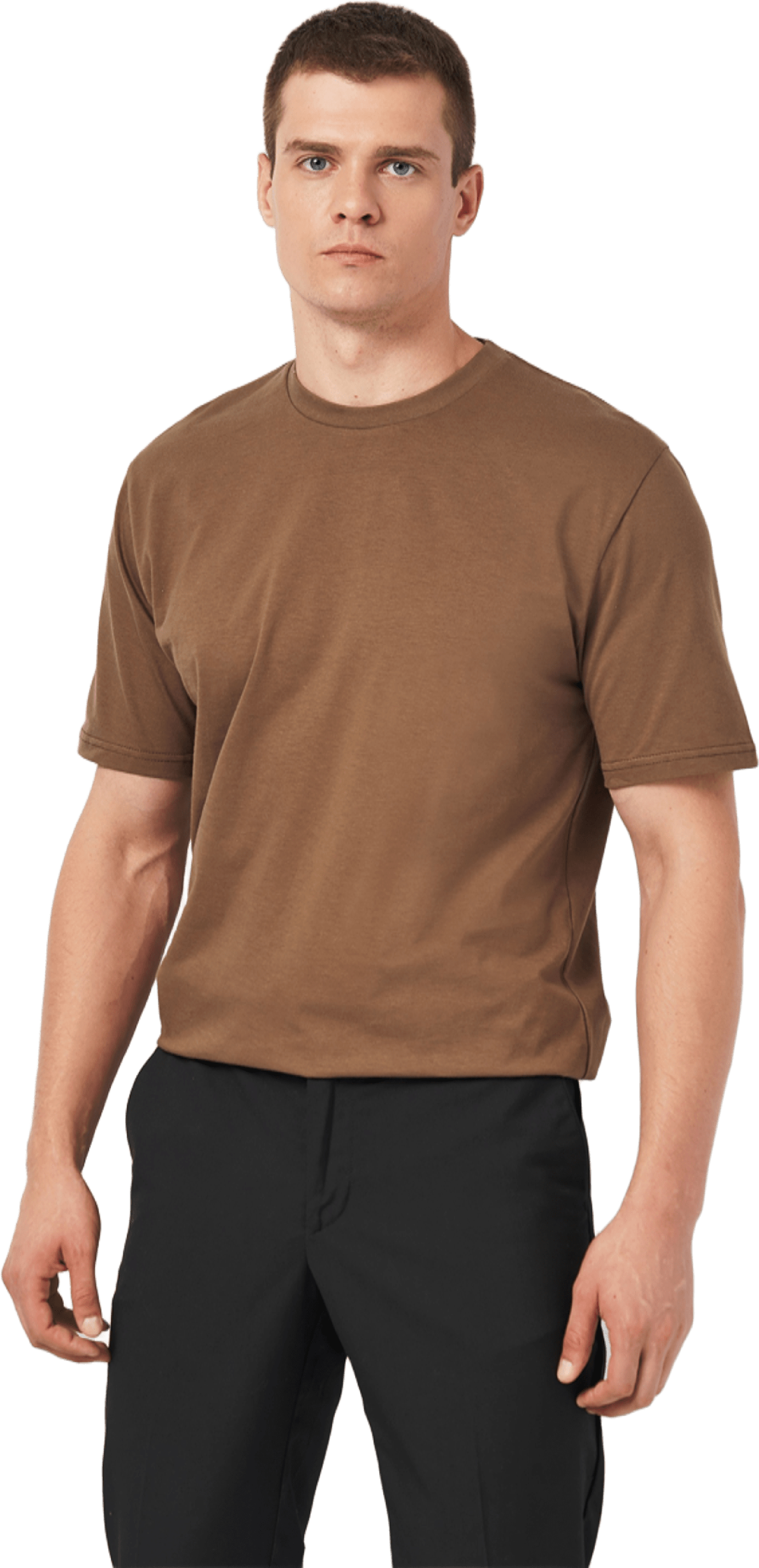 Футболка хлопковая мужская Roza 231101 2XL темно-шоколадная фото 1