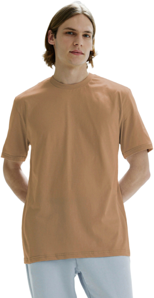 Футболка бавовняна чоловіча Roza 231101 XS темно-бежевафото