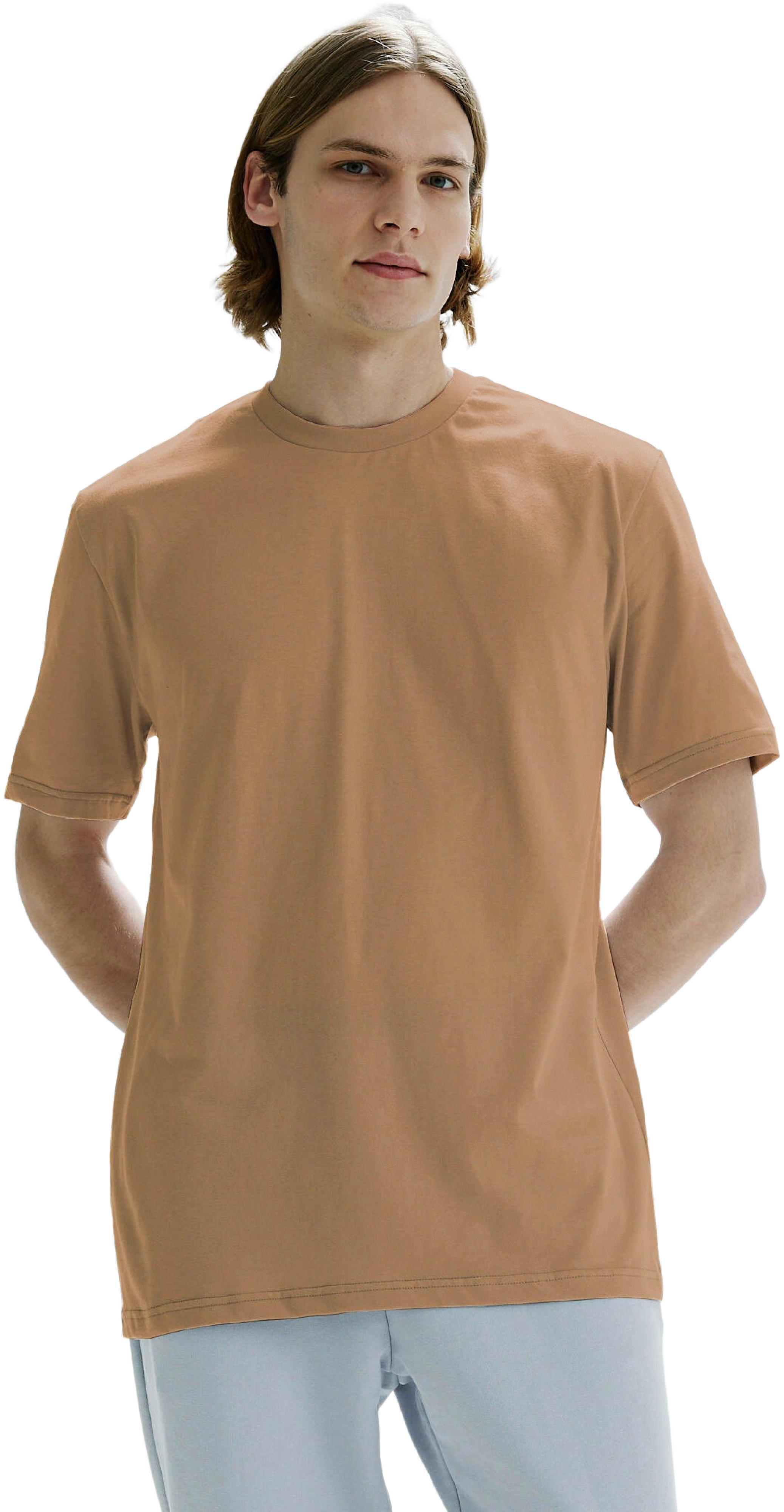 Футболка хлопковая мужская Roza 231101 L темно-бежевая фото 1