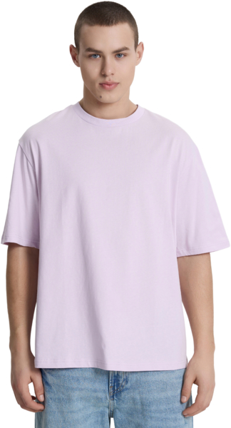 Футболка хлопковая мужская Roza 230926 2XL лавандовая фото 