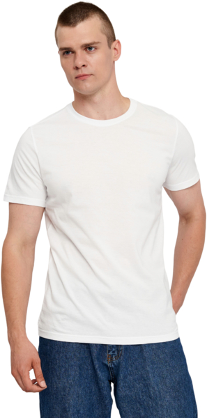 Футболка хлопковая мужская Roza 210135 L белая фото 